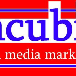 Havelberg_mcubic_Logo.jpg